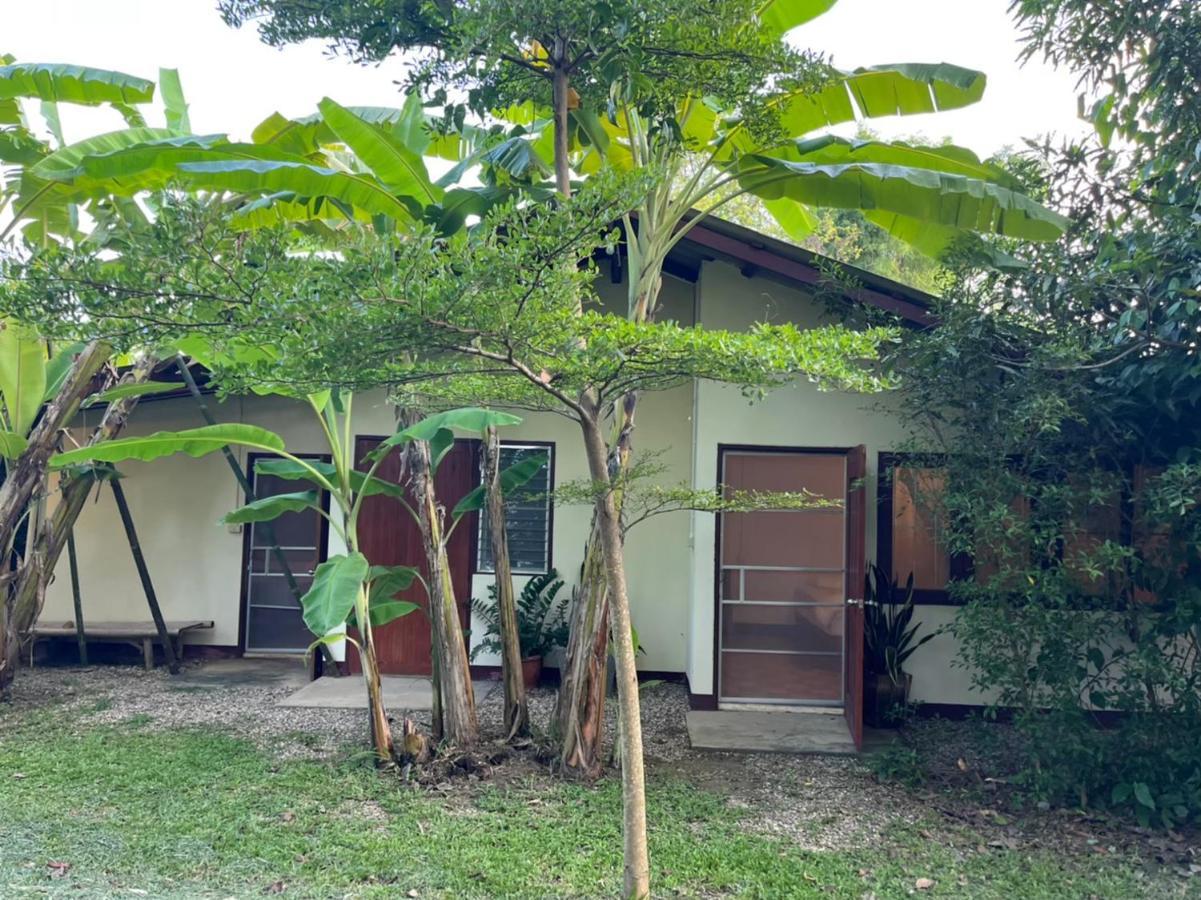 Ostello Brown House Chiangdao Chiang Dao Esterno foto